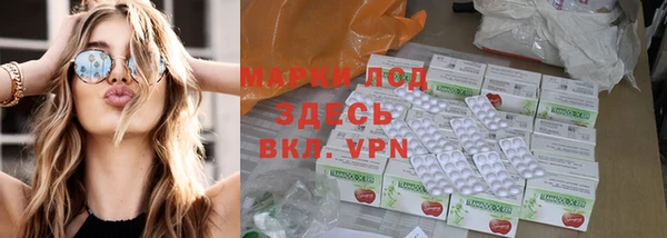 крисы Алзамай