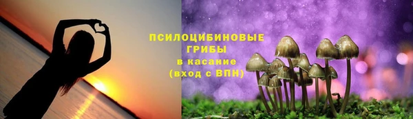 крисы Алзамай