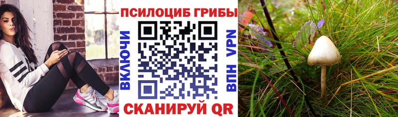 Псилоцибиновые грибы GOLDEN TEACHER  Спасск 